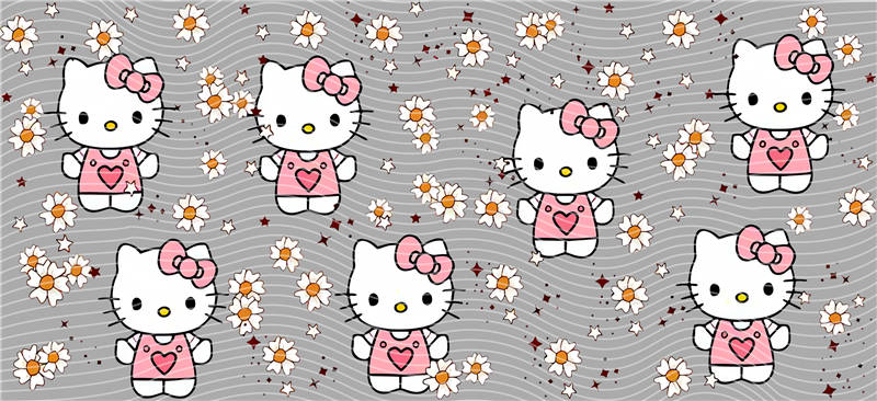 16oz Sanrio-K 9